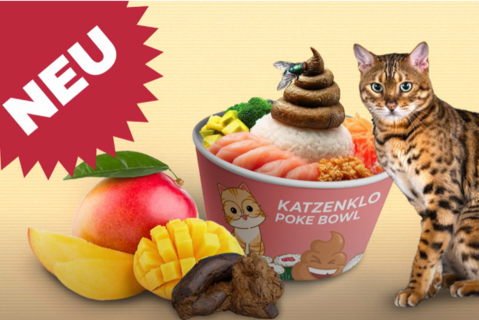 Katzenklo PokeBowl