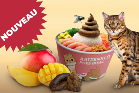 PokeBowl litière pour chat