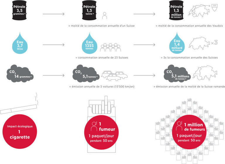 Impact environnemental du tabagisme