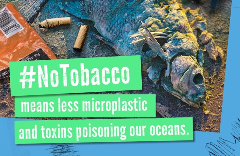EU ban on microplastics stubs out cigarette butt pollution